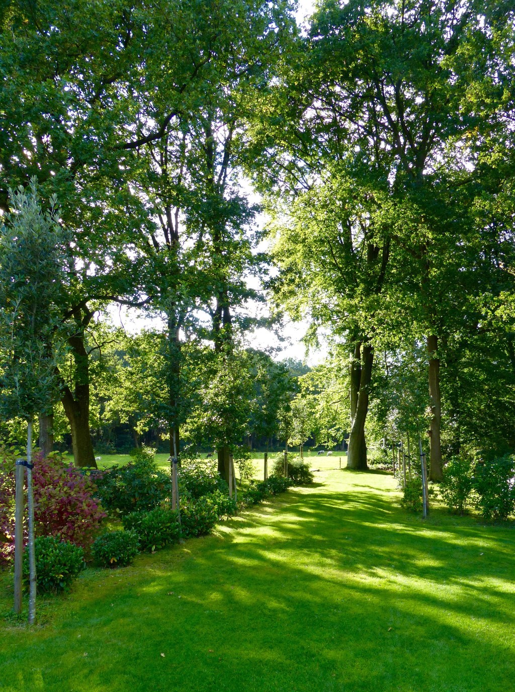Tuin aan het&nbsp;bos
