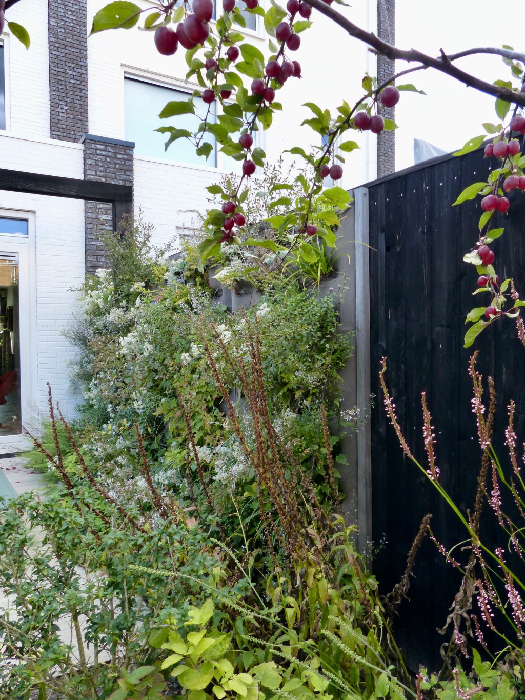 Organische stadstuin