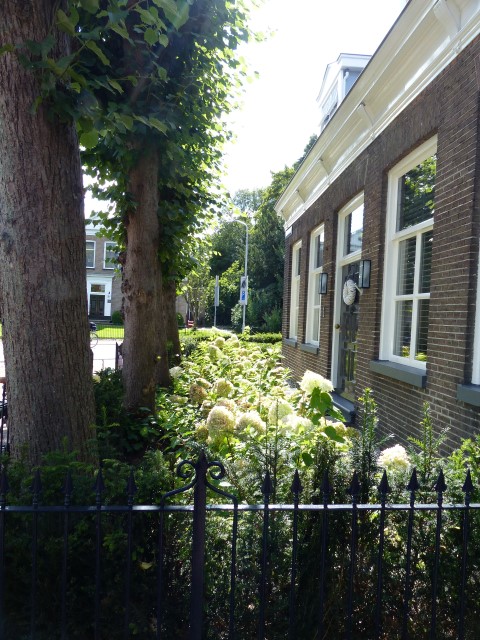 Tuin bij stadswoning